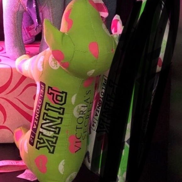 ISO Vs pink dogs and boxes - Picture 5 of 8